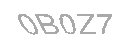 Güvenlik Kodu